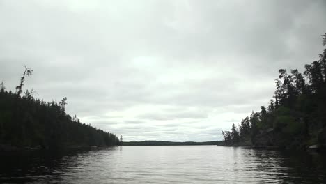 Forest-line-from-a-boat-on-a-lake