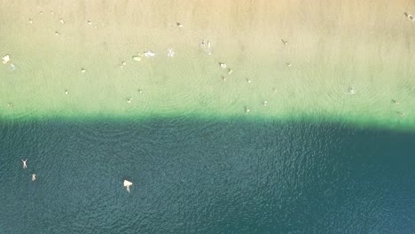 Water-Color-Changes-Flying-From-Beach-to-Shore
