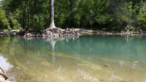 This-is-a-video-of-the-Guadalupe-River-just-below-the-dam-on-Canyon-Lake