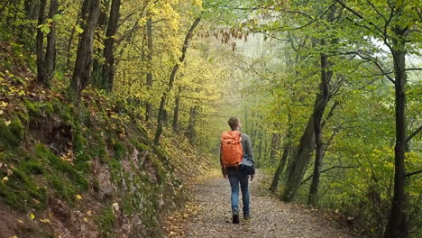 Young-man-exploring-woods-in-Eifel-Germany-backpacking
