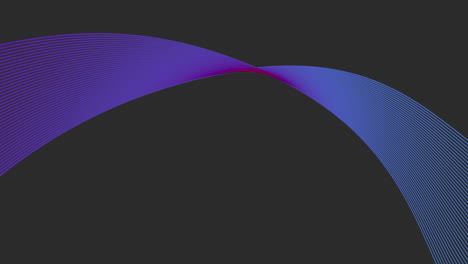Striking-Purple-And-Blue-Curve-Gracefully-Sweeping-Across-Black