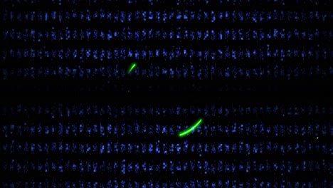 Grunge-Texture-Embellished-with-Neon-Green-Circular-Graphics
