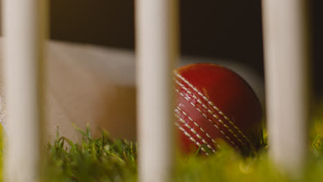 Cricket-Stillleben-Mit-Nahaufnahme-Von-Ball-Und-Schläger,-Die-Im-Gras-Hinter-Stümpfen-Liegen-2