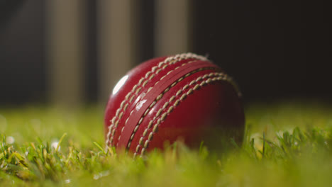 Cricket-Still-Life-With-Close-Up-Of-Ball-Lying-In-Grass-In-Front-Of-Stumps