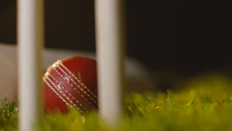 Cricket-Stillleben-Mit-Nahaufnahme-Von-Ball-Und-Schläger,-Die-Im-Gras-Hinter-Stümpfen-Liegen