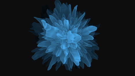 Gebogene-Und-Spitze-Blaue-Blüte-Mit-Kreisförmiger-Blütenblattanordnung