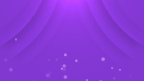 Purple-sheer-curtain-with-illuminated-light-and-shadow