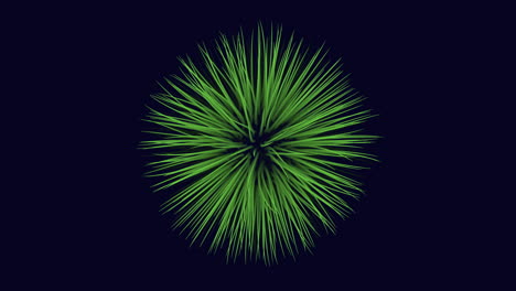 Lush-green-palm-tree-with-circular-leaf-arrangement-against-dark-background