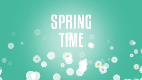 Frühlingstext-Mit-Blüten,-Weißen-Gänseblümchen-Auf-Leuchtend-Grünem-Hintergrund