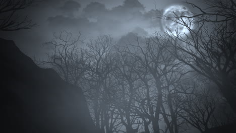 Misterioso-Bosque-Iluminado-Por-La-Luna-Una-Escena-Nocturna-Inquietantemente-Hermosa