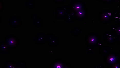 Violette-Sterne-Erhellen-Den-Nachthimmel