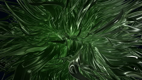 Spiralförmige-Grüne-Pflanze-Mit-Glänzenden-Blättern