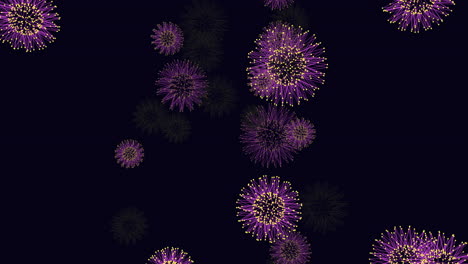 Leuchtend-Violette-Blüten-Blühen-Auf-Elegantem-Schwarzen-Hintergrund