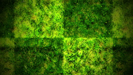 üppiges-Grünes-Moos-Gedeiht-Auf-Detaillierter-Oberfläche