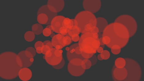 Floating-red-circles-ethereal-beauty-in-black