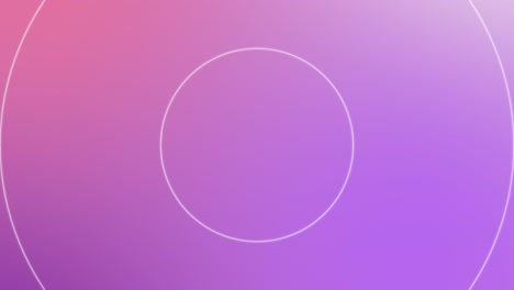 Pastel-Lilac-Animated-Background