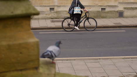 Close-Up-Of-Cyclist-Riding-Bike-Along-Street-In-City-Centre-Of-Oxford-With-Pigeon-In-Foreground