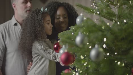 Family-Decorating-Christmas-Tree-2