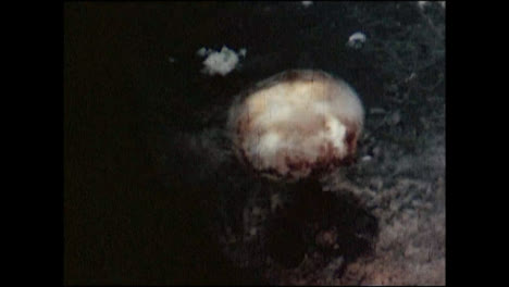 1945-Nagasaki-Atomic-Bomb-Explosion-02