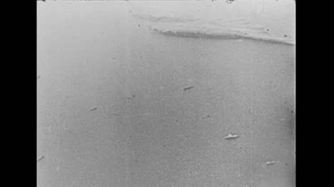 1955-First-Soviet-Underwater-Atomic-Torpedo-Test