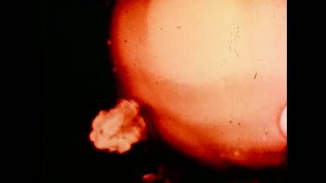 Archive-Clip-of-Operation-Teapot-Military-Effects-Test-Bomb-01