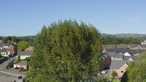 Drone-Shot-Rising-Over-Trees-Revealing-Caerphilly-Castle-01