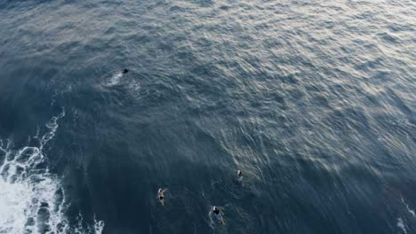 Drohnenschuss-Mit-Blick-Auf-Surfer,-Die-Versuchen,-Gegen-Wellen-Zu-Schwimmen