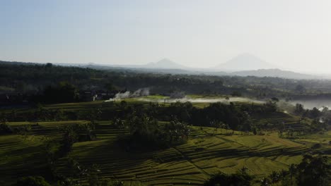 Drone-Shot-Flying-Over-the-Jatiluwih-Rice-Terraces
