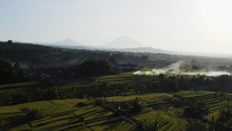 Drone-Shot-Flying-Above-Jatiluwih-Rice-Terraces