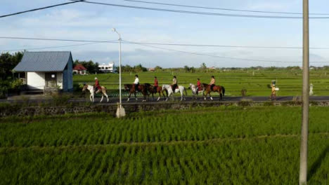 Drone-Shot-Tracking-Group-of-Horse-Riders-On-Road