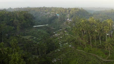 Drone-Shot-Flying-Over-the-Ubud-Tegallalang-Rice-Terraces