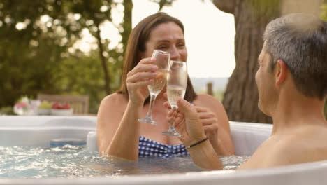 Over-the-Shoulder-Shot-of-Middle-Aged-Couple-Bringing-Their-Champagne-Glasses-Together