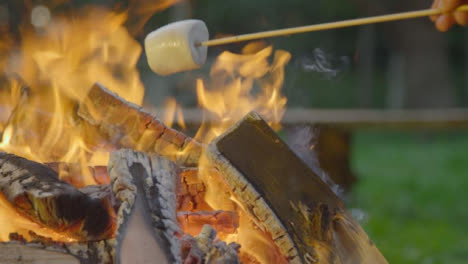 Tilting-Shot-of-Senior-Member-of-Family-Toasting-Marshmallow-On-Campfire