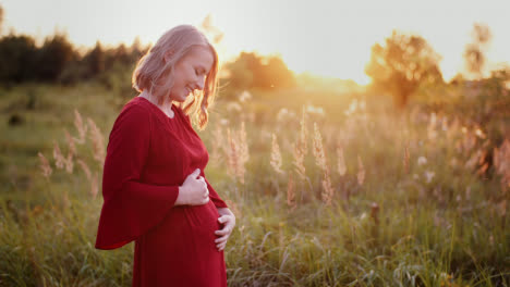Pregnant-Woman-Walking-On-A-Meadow-In-Sunset-7