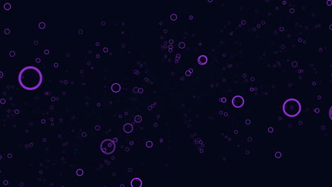 Fly-purple-rings-and-dots-in-dark-galaxy