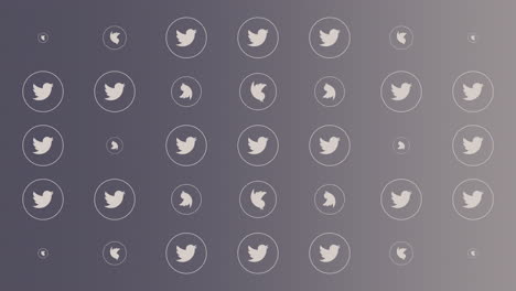 Twitter-grey-icons-pattern-on-social-network-background