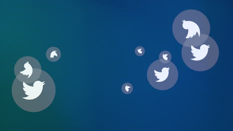 Fly-Twitter-icons-on-social-network-background