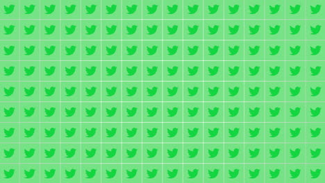 Twitter-green-icons-pattern-on-social-network-background