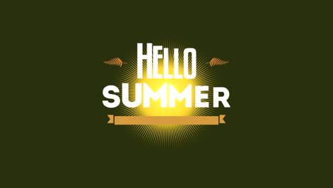 Hallo-Sommer-Mit-Sonnenstrahlen-Auf-Retro-muster
