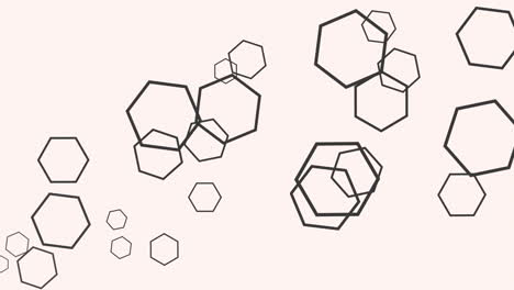 Fly-simple-black-hexagons-shape