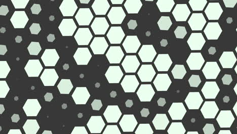Simple-black-and-green-hexagons-pattern