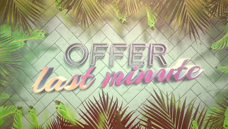 Last-Minute-offer-on-wall-with-tropical-palms