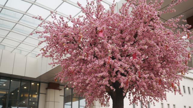 Árbol-de-flor-de-cerezo-o-Sakura-delante-de-centro-de-negocios