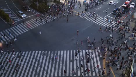 High-Angle-Shot-von-den-berühmten-Shibuya-Pedestrian-Scramble-Zebrastreifen-mit-Massen-von-Menschen-und-Autos-warten.-Abends-in-der-Großstadt-Bright.