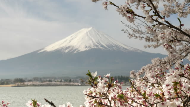 Schließen-Sie-die-Ansicht-von-Kirschblüten-und-Mt.-Fuji-in-Kawaguchi-See-in-japan