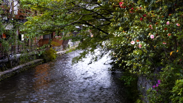 vorgelagerten-Blick-auf-Shirakawa-Kanal-bei-Gion-in-kyoto