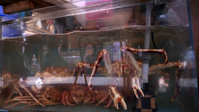 Leben-Sie-Krabben-in-einem-Aquarium-im-Tsukiji-Markt-in-japan