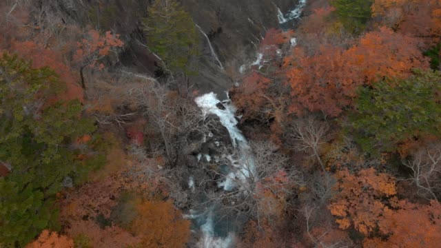 Luftaufnahme-der-Kegon-Wasserfall-und-im-Herbst-Laub,-Nikko,-Tochigi,-Japan