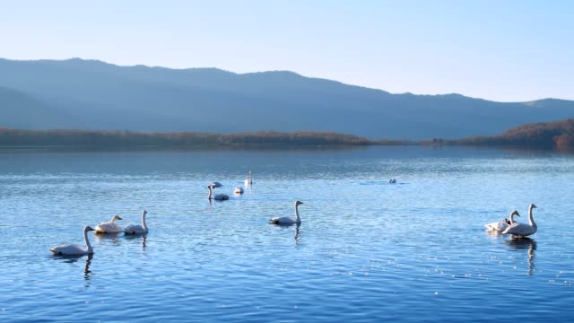 Lake-Kussharo,-Hokkaido,-Japan.