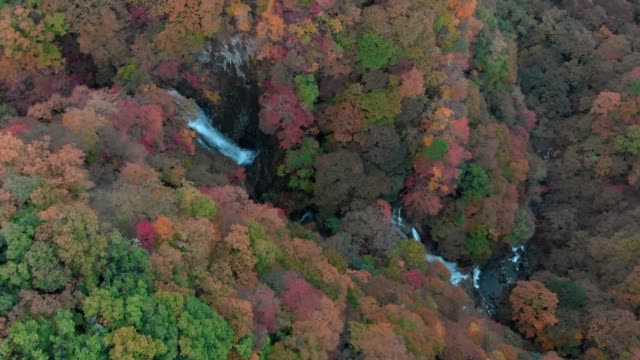 Aerial-view-of-Kirifuri-waterfall-and-autumn-foliage,-Nikko,-Tochigi,-Japan